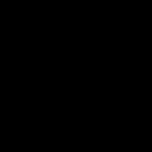 Meet your Posher, Stoney